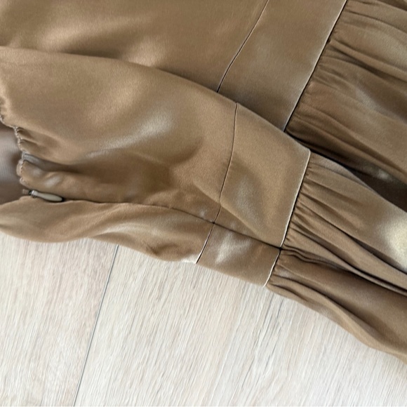 Vfish Taupe Silk Dress with Pleated Trim - Picture 9 of 9